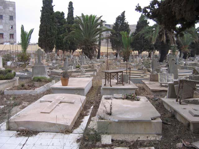 VOYAGE ORAN SEPTEMBRE 2006 79 12 sept. 06 - matin - CIMETIERE DE TAMASHOUET CARRE 35.JPG